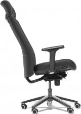 Profoffice Ronan W