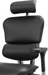 Ergohuman Elite 2 Leather