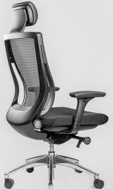 Falto Trium