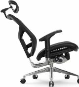 Expert Star Ergo